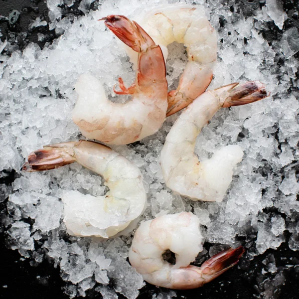 wholesale gulf shrimp, peeled & deveined tail on