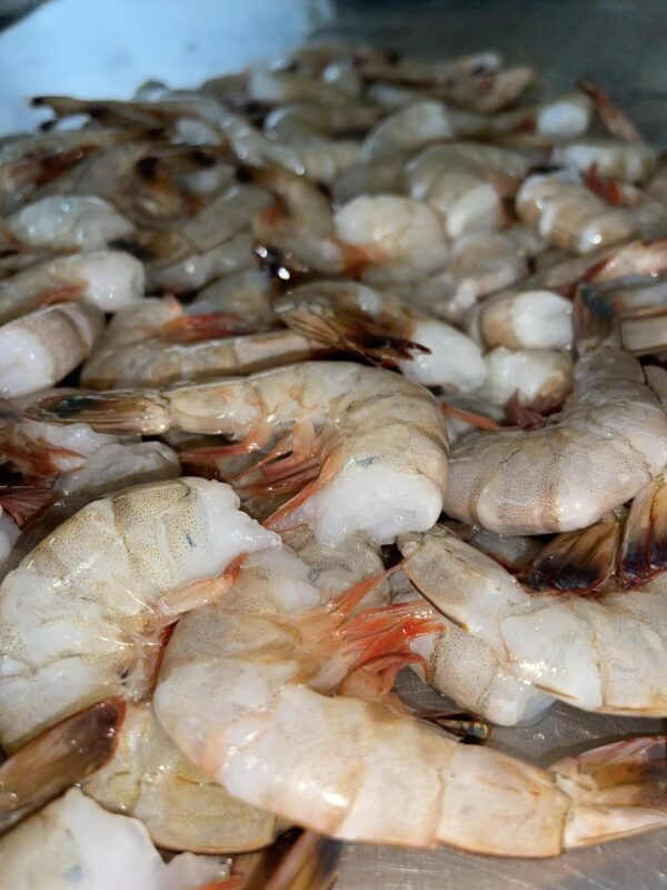 5lbs. 21/25 Headless, White Gulf Shrimp