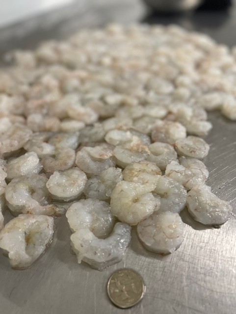 Small Peeled & Deveined Gulf Shrimp (70/90)