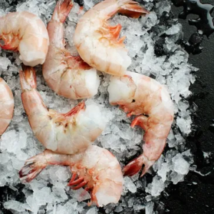 Extra-Large Gulf Shrimp, Shell-On (21/25)